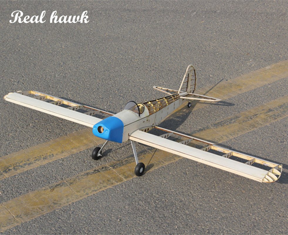 RC AirPlanes Laser Cut Balsa W - Woodworking Hobbies avis et prix